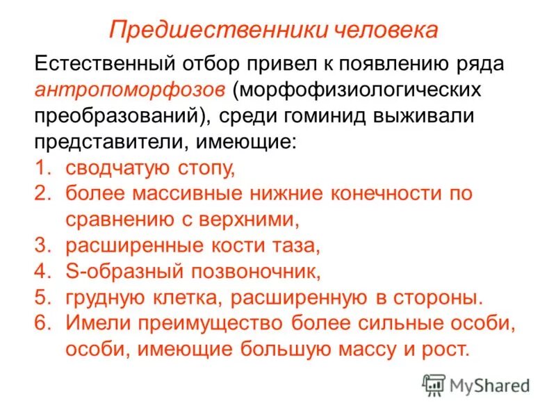тест по биологии 11 класс естественный отбор