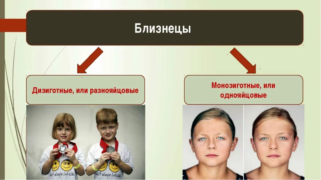 Близнецы разница. Однояйцевые (монозиготные) близнецы. монозиготные и дизиготные близнецы. монозиготные близнецы и дизиготные близнецы. гетерозиготные близнецы.