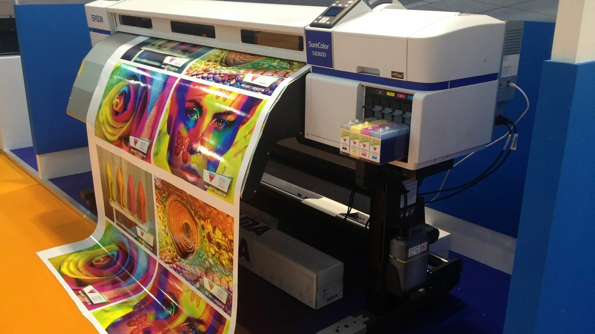 Display print. Display print