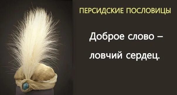 Персидская пословица. Иранские поговорки. Иранские пословицы и поговорки. Восточная мудрость о женщине. Персидские поговорки.
