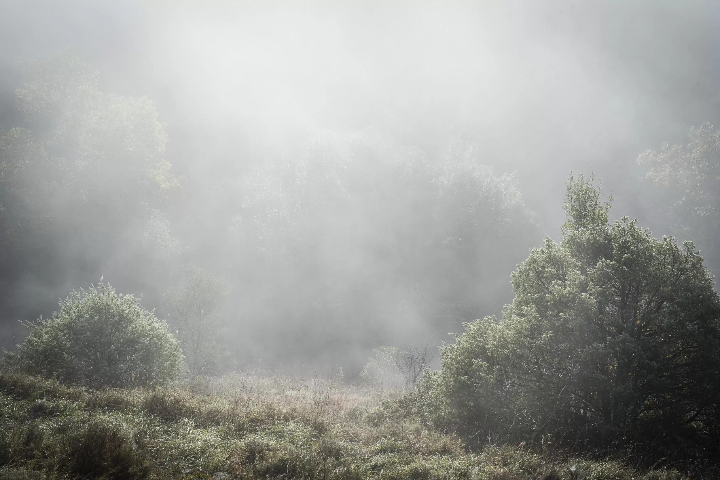 Туман арт. Грозовые тучи. Thick fog. Вечер над рекой. Пейзаж туманное утро.
