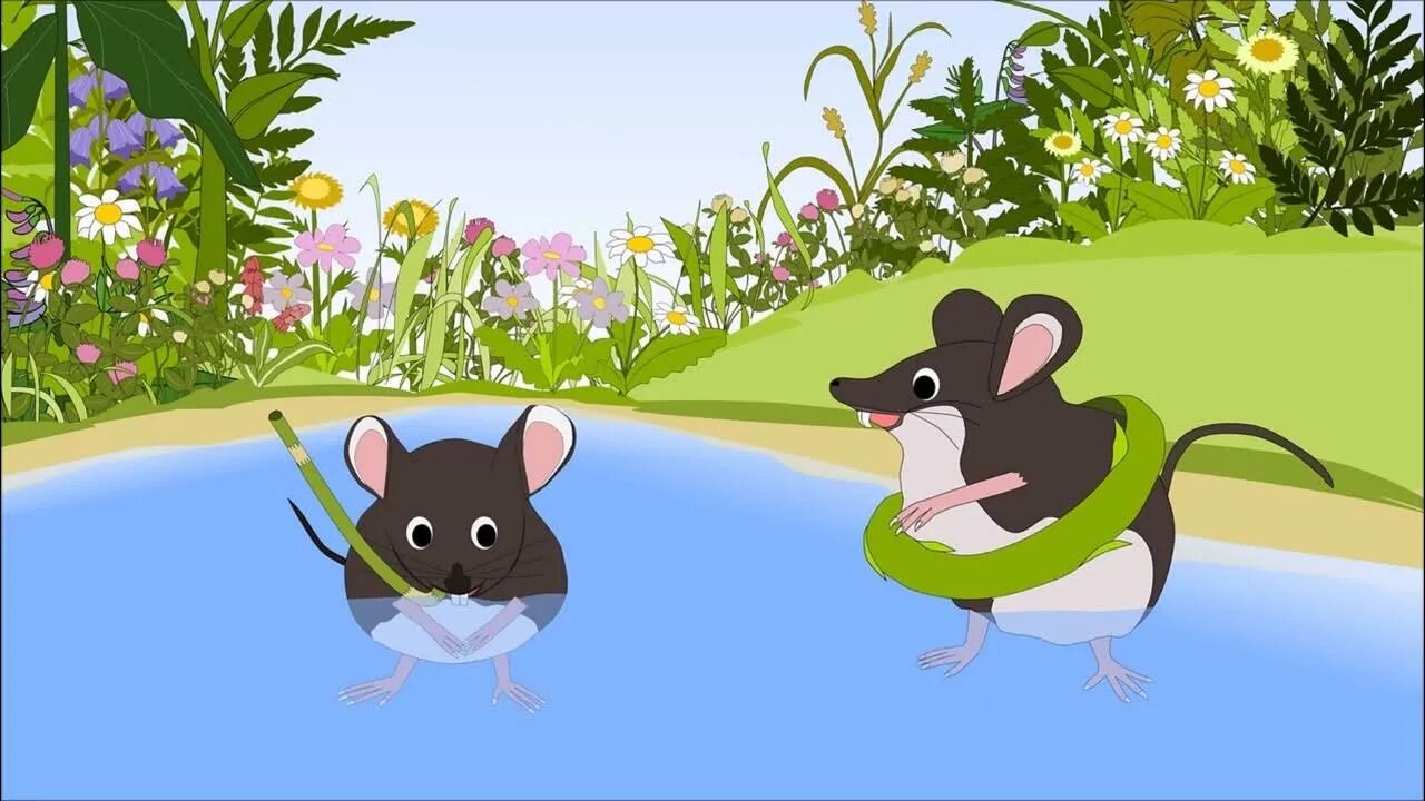 Мышка плавает. Мышка с водой. Мышь плывет. Мышонок плавает в воде.