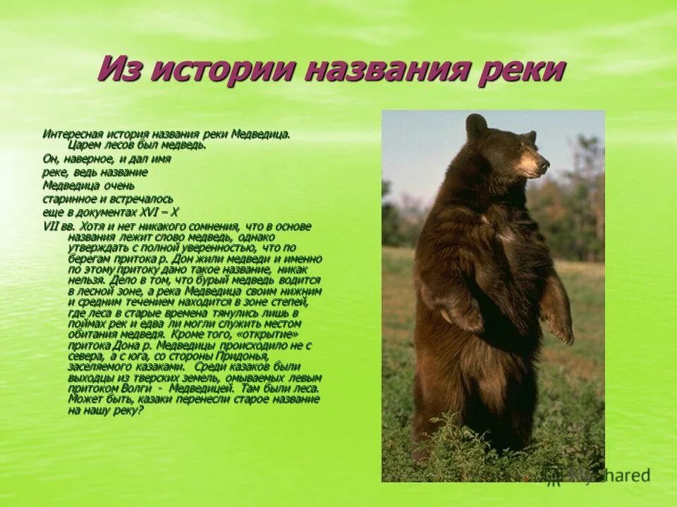 большой рассказ название. история названия города сочи. заголовок сочинения. большой рассказ название. книги про школьников для детей.