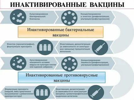 Получить вакцинацию