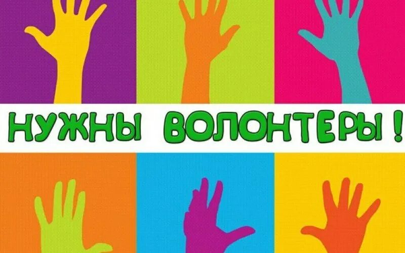 Ищем добровольцев. Ищем волонтеров. набор волонтеров. требуются волонтеры. ищем волонтеров картинки.