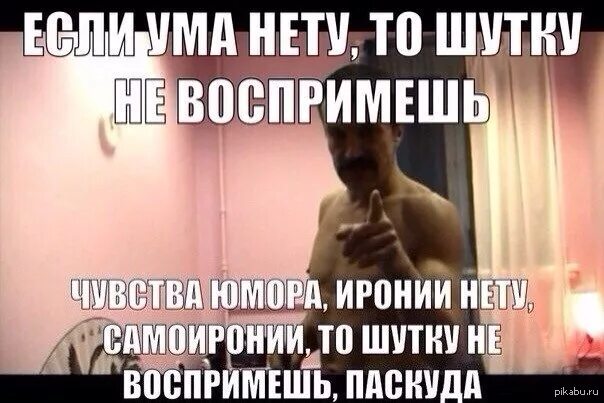 Паскуда значение. Чувство самоиронии. паскуда тварь. паскуда тварь мем. самоирония мем.
