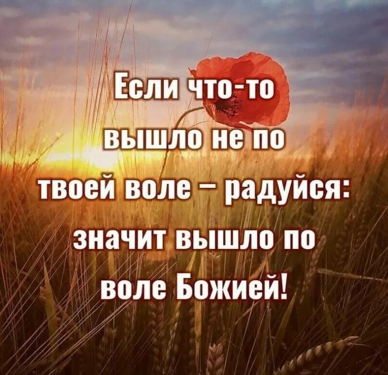 Радует то что это