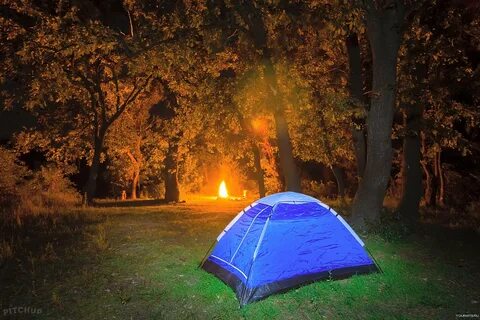Camping wood