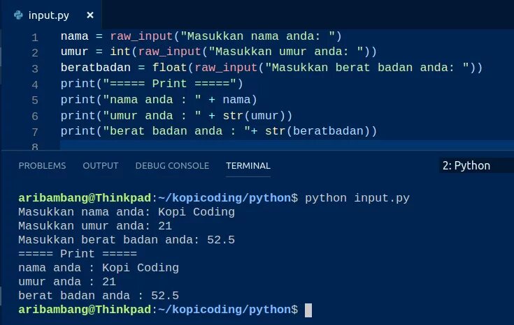 Результат функции input. Питон команда input. функция input в питоне. синтаксис в питоне input. питон программирование input.