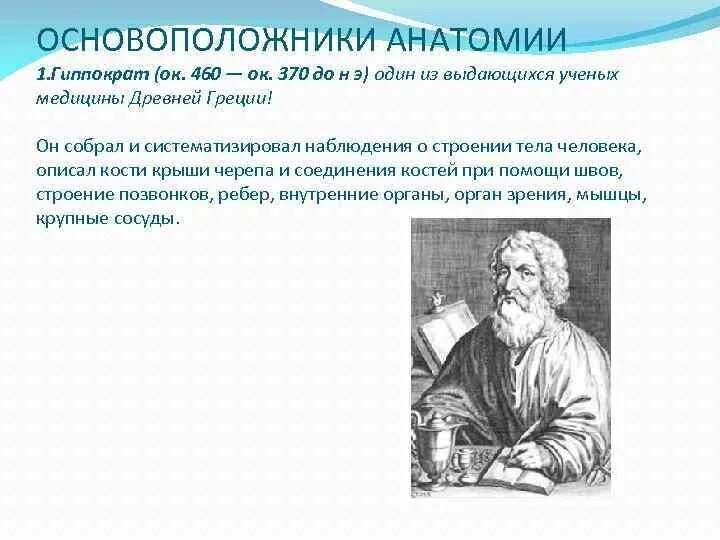 Основоположник современной научной анатомии. История развития анатомии таблица. Ученые анатомии и физиологии. Исторический очерк развития анатомии. Краткий исторический очерк развития анатомии и физиологии.