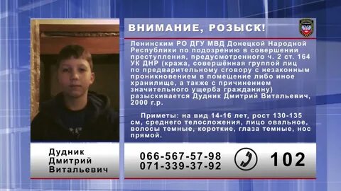 Дудник закон