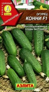Сорта огурцов конни