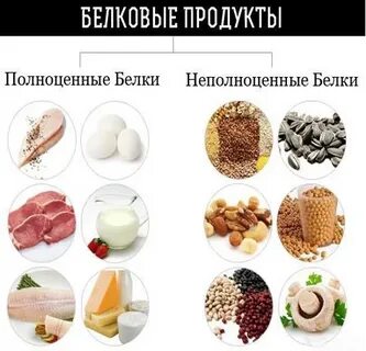 Полноценными белками являются