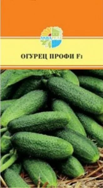 Семена огурцов Шоша f1. Огурец профи f1. Семена огурец профи f1. Огурец Шоша f1 пакет семена. Семена огурцов шоша