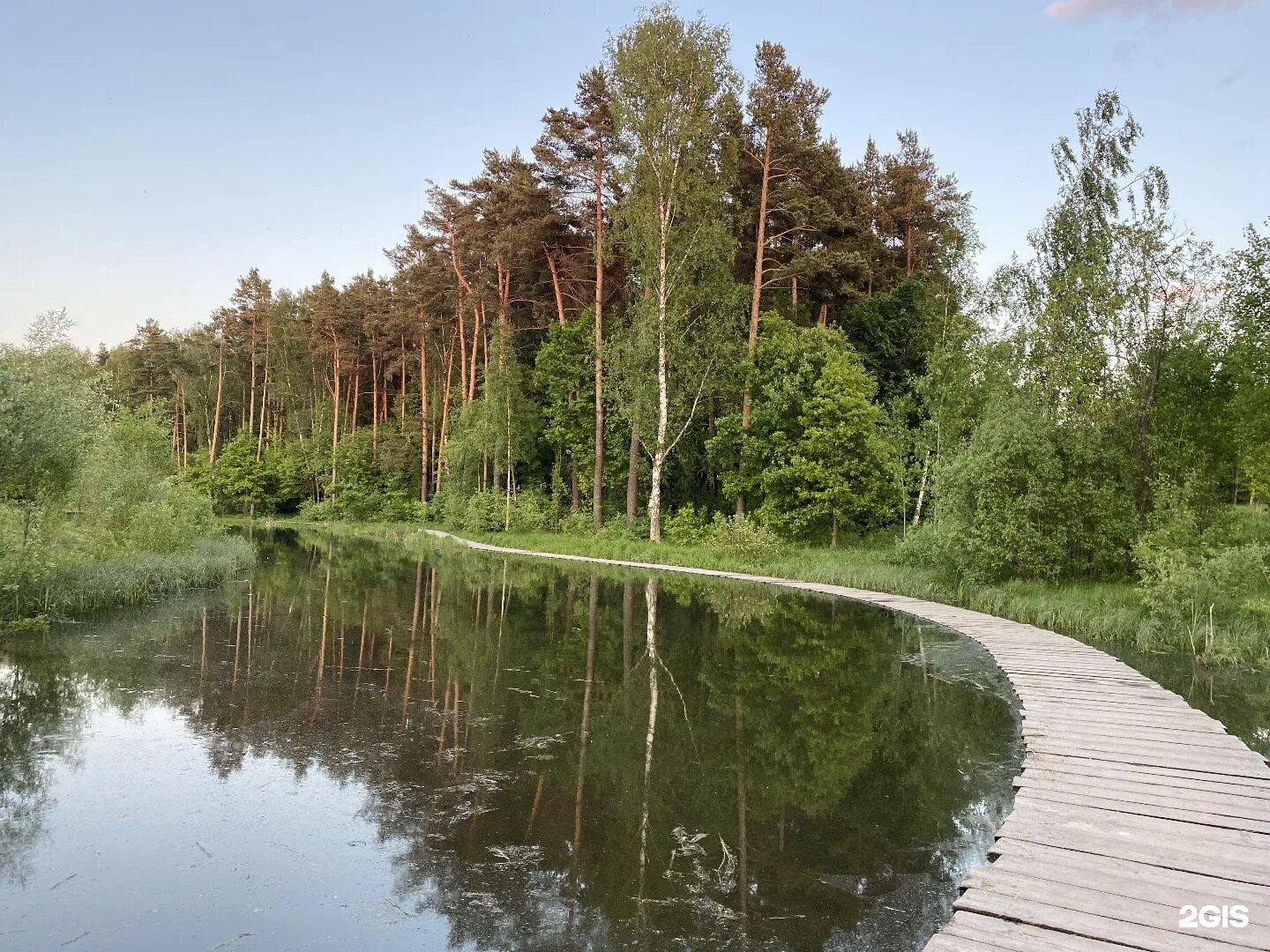 мещерский парк сколково. мещерский лес москва парк. мещерский природный парк. мещерский парк сколково. мещерский парк солнцево.