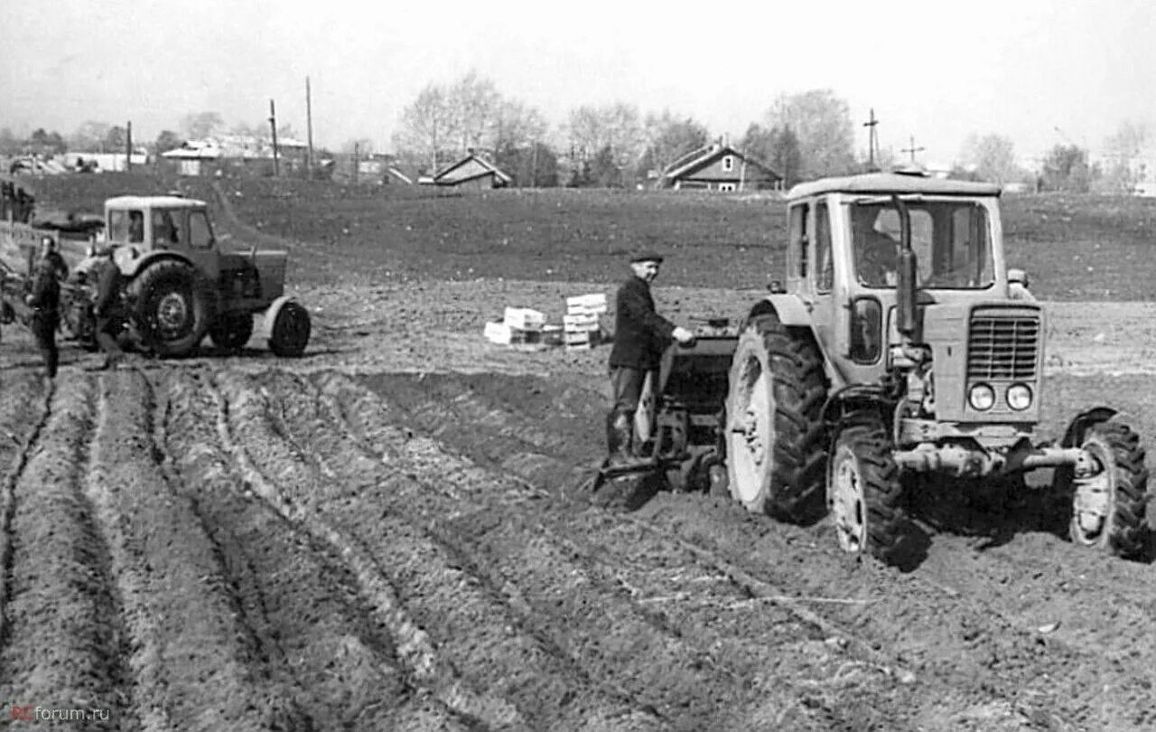 Село тракторное. МТЗ 50 посевная. Пахота МТЗ 50. МТЗ 80 колхоз. Трактор МТЗ 80калхоз ССР.