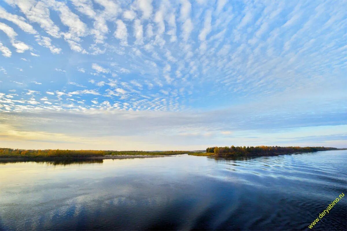 Волга это река. Расфокус.ру река Волга. Река верхняя Волга. Река Волга Нижегородская обл. Нижняя Волга.