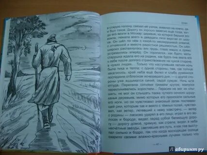 Муму читательский дневник главная мысль