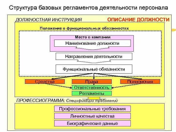 Структура должностных обязанностей. Кадровую деятельность регламент. Регламентация деятельности персонала. Должность по направлению деятельности.