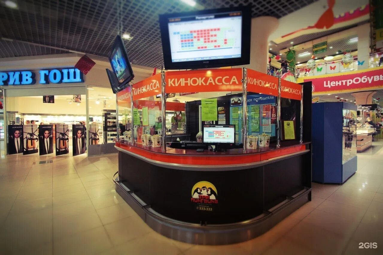 Афиша мадагаскар саранск. Три пингвина кинотеатр. Кинотеатр 3 пингвина чебоксары. Три пингвина чебоксары фнаф. Кинотеатр три пингвина чебоксары.