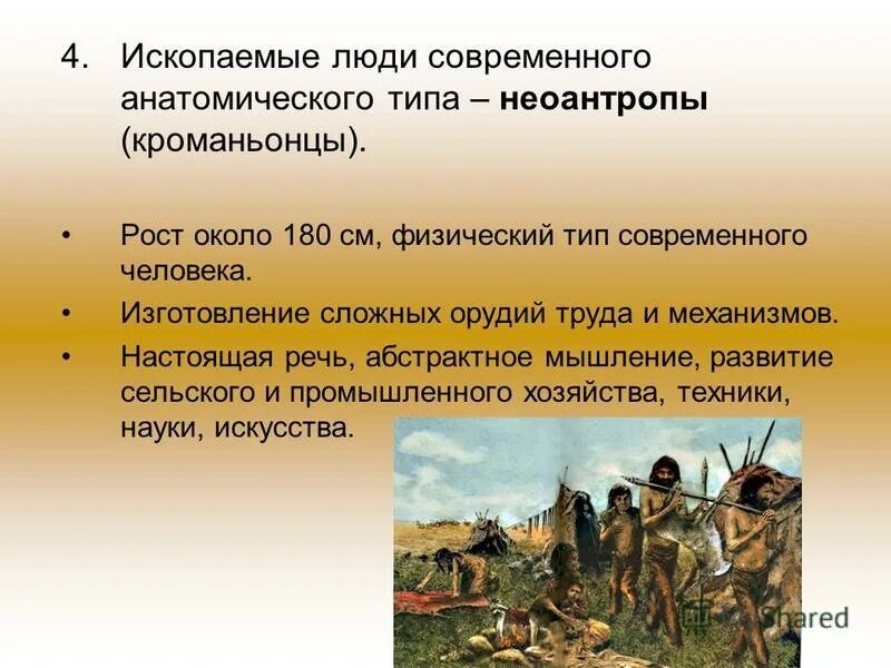 Как называют первых ископаемых людей современного типа. Как называют первых ископаемых людей современного типа