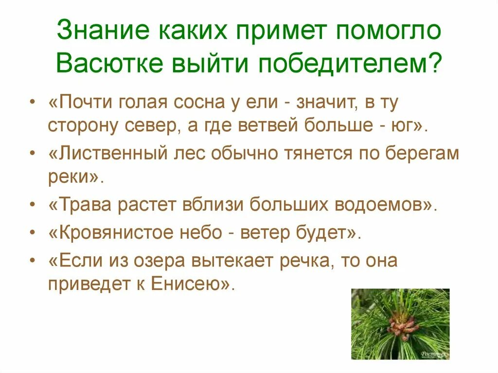 Приметы тайги. Приметы, которые помогут выжить в тайге приметы. Таежные законы. Законы природы которые могут помочь в лесу. Приметы васюткино озеро 5 класс