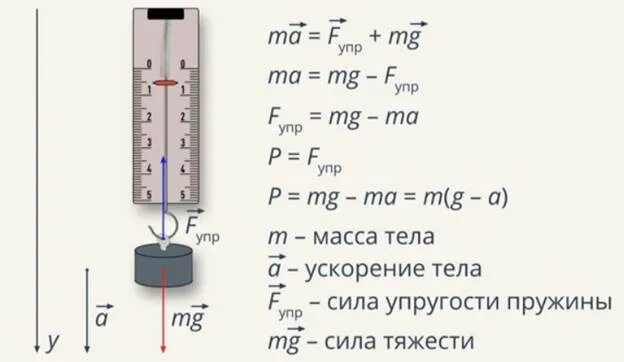 Как определить силу тяжести пружины. Сила упругости формула через массу и ускорение. Сила упругости формулы через ускорение. Сила упругости формула через массу. Сила упругости формула с массой