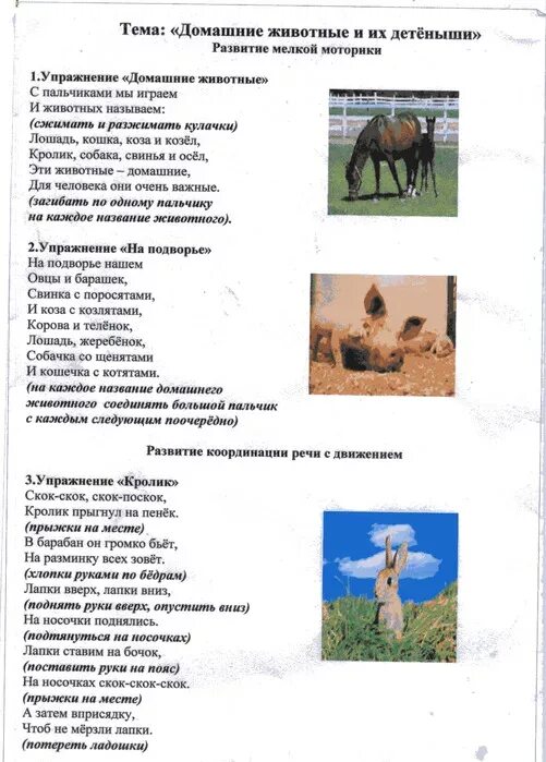 Тематическое планирование домашние животные младшая группа. Лексическая тема домашние животные логопедическая. рекомендации для родителей лексическая тема домашние животные. домашние животные птицы и их детеныши лексическая тема. тема недели домашние животные.