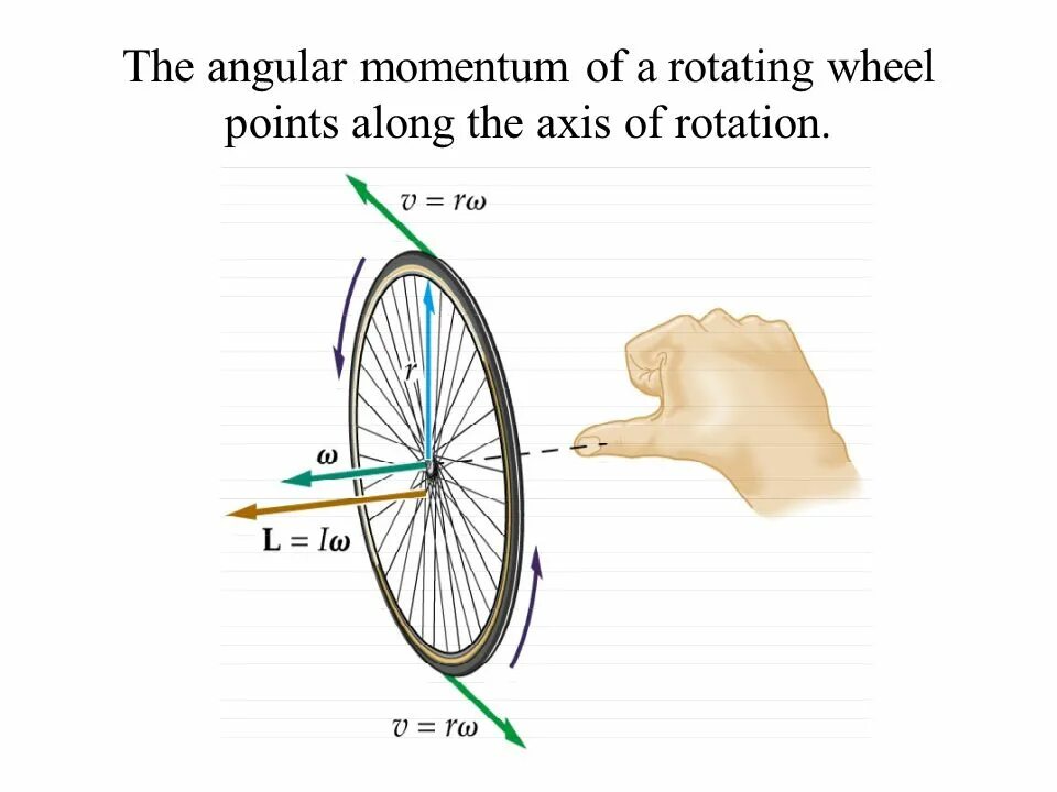 Wheel point. Angular momentum. rotating wheel. angular momentum in terms of torque. with a uniform rotation the flywheel makes 4 revolution.