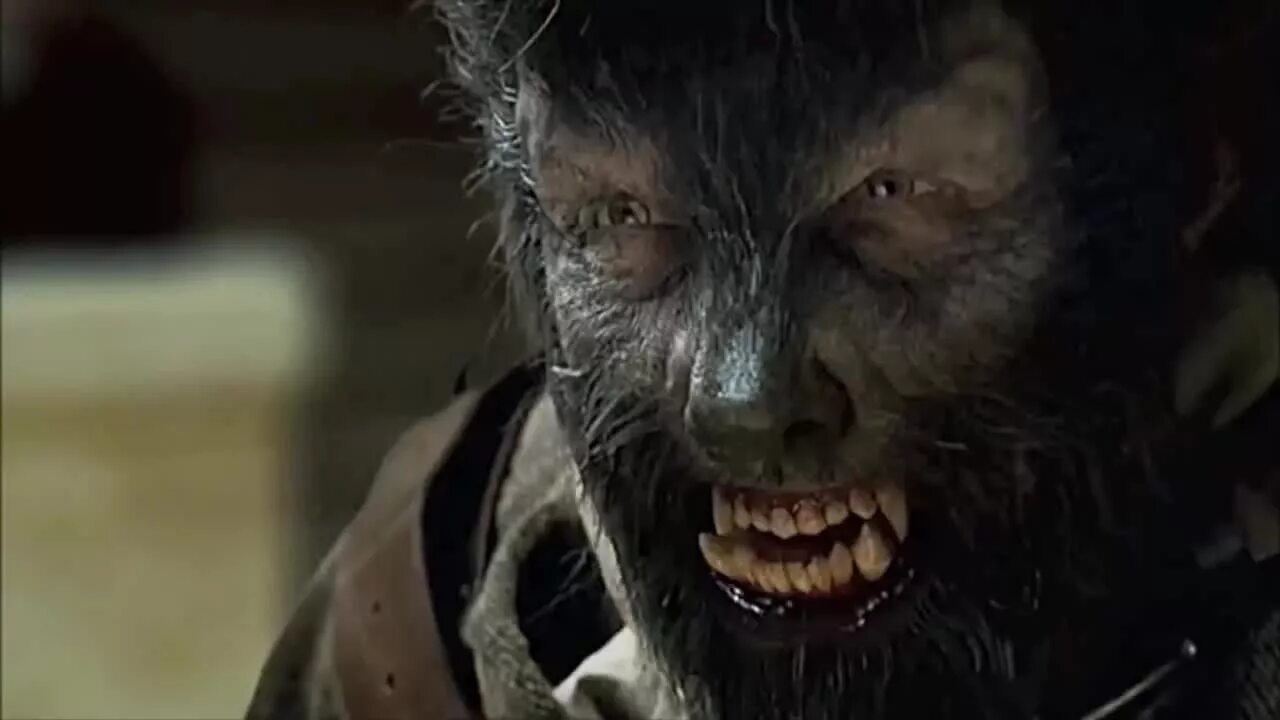 человек-волк 2010 оборотень. человек-волк фильм 2010. человек волк начала. бенисио дель торо оборотень. человек-волк 2010 оборотень.