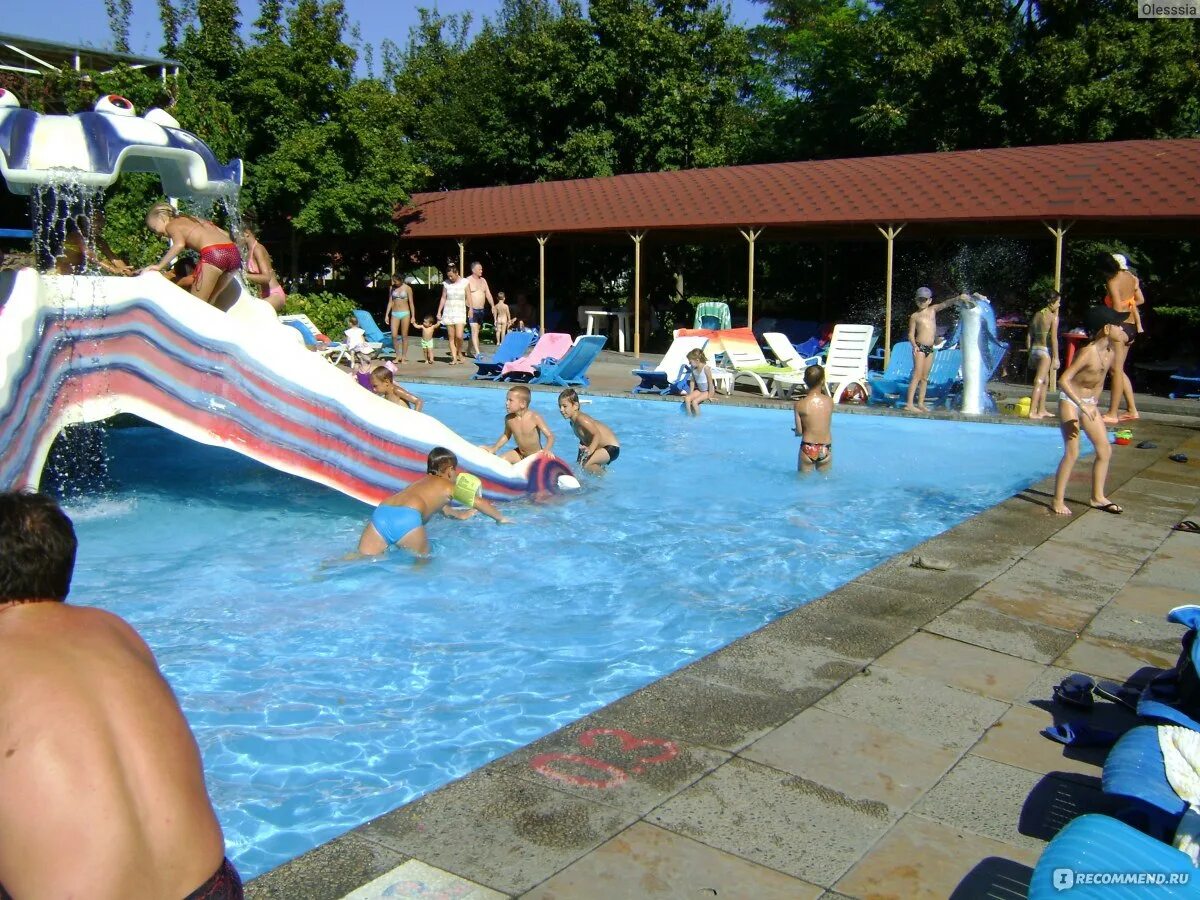 Все мы тут осьминожек ростов на дону. Аквапарк осьминожек в ростове. аквапарк осьминожка ростов на дону. аквапарк осьминожек в ростове на дону фото.