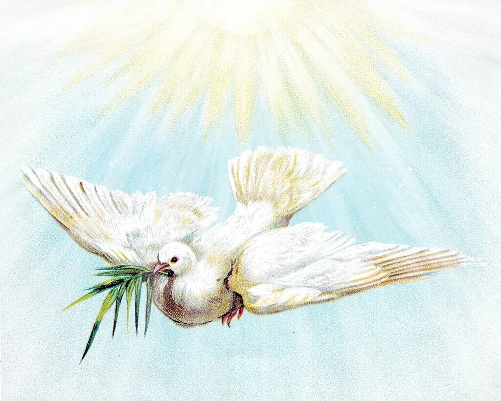 Св птица. Святой дух в живописи. Голубь Святой дух. Голубь символ Святого духа. Библейский голубь.