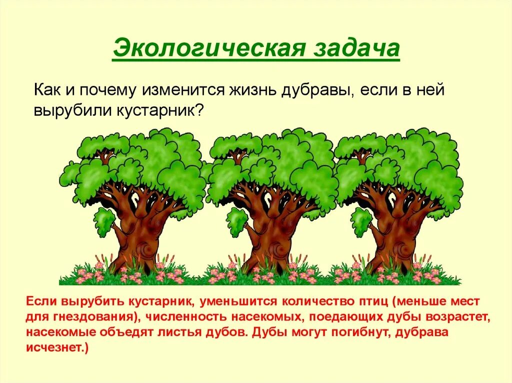 Задачи по экологии. Экологические задачи. Экологические задачки. Решение экологических задач. Решить задачу в лесу на разных кустах