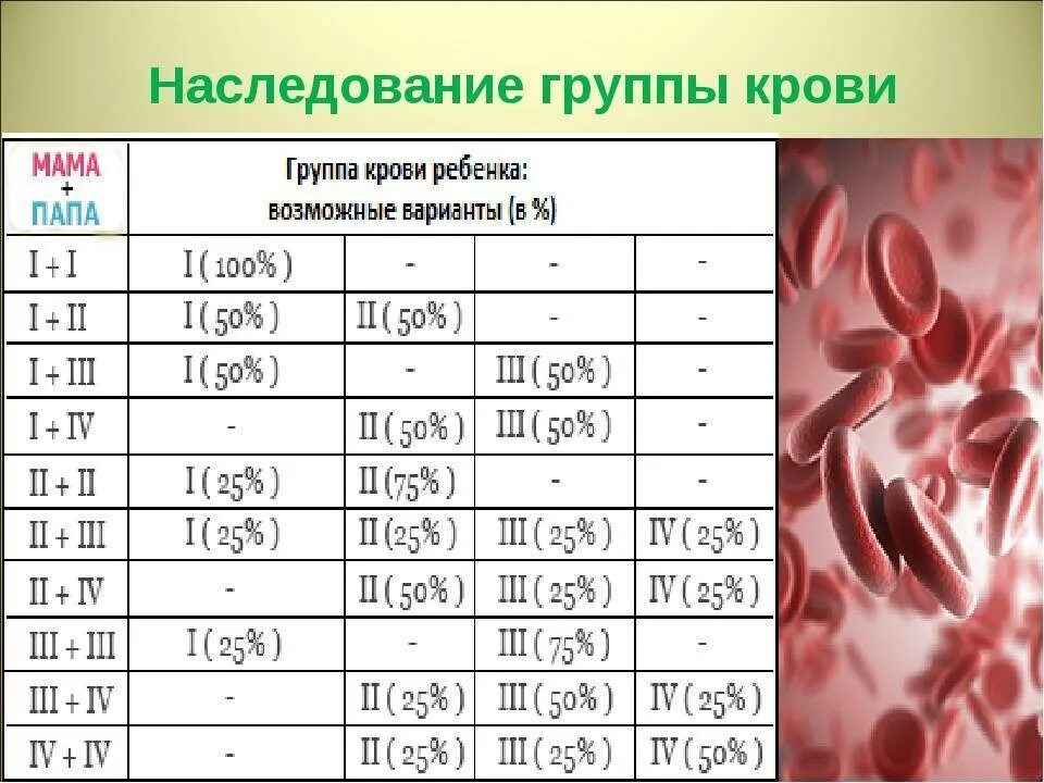 Группы крови человека наследуются. Наследование 4 группы крови. Группы крови 2 + 4 группа. Наследование группы крови и резус фактора от родителей таблица. Схема наследования групп крови и резус.