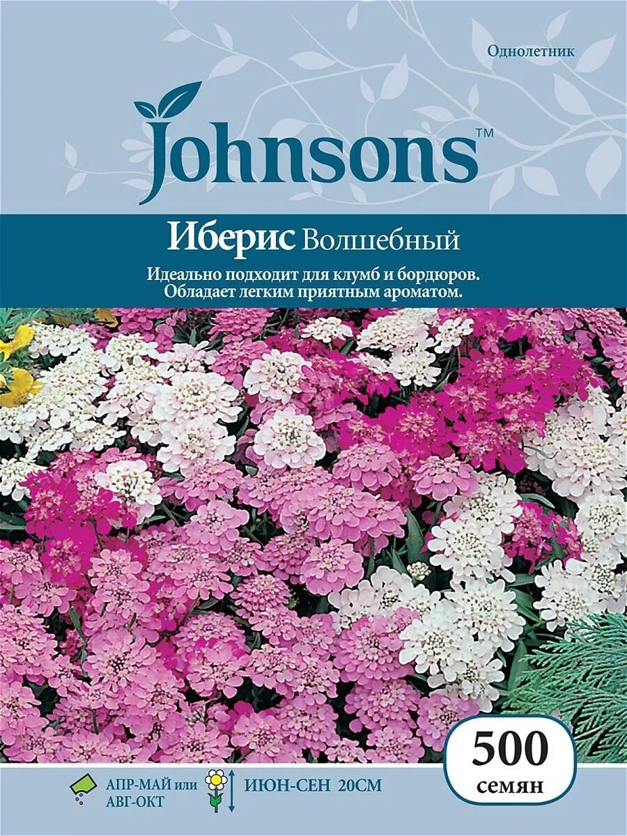 Иберис купить семена. Иберис Волшебный. Семена однолетников иберис. Иберис Волшебный однолетник. Иберис зонтичный смесь.