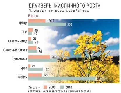 Районы выращивания масличных культур