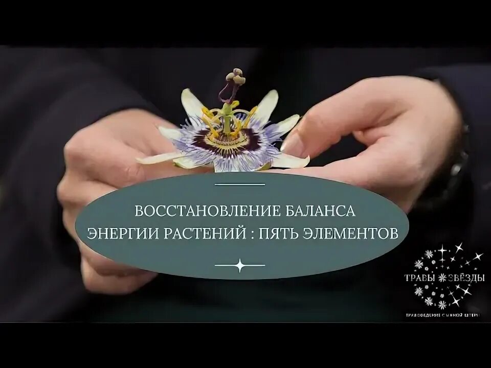 Идеальный баланс эталон гармонии танос. Баланс будет восстановлен. Баланс будет восстановлен. Танос идеальный баланс мем. Гармония и баланс.