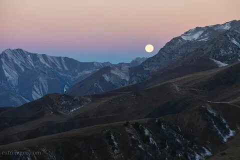 Кавказские ночи
