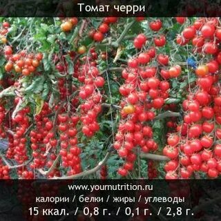 Калории черри