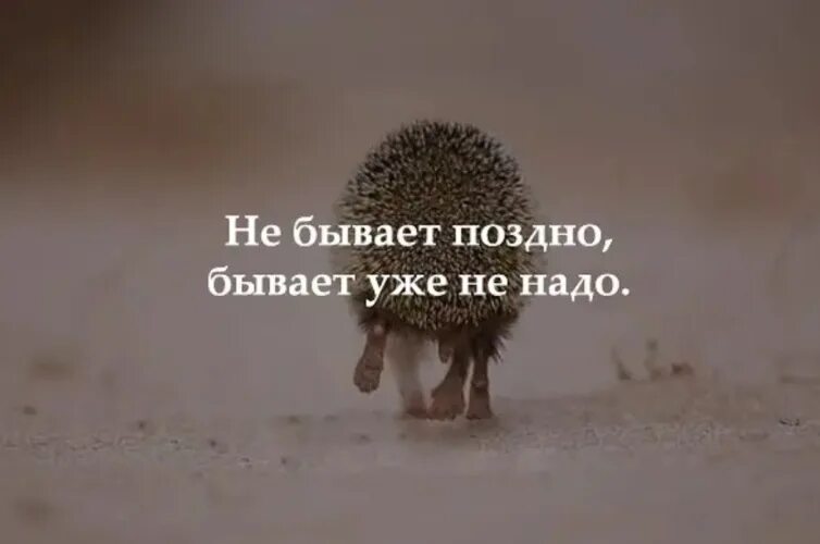 Человеку много не надо. Бывает уже не надо цитаты. Бывает спасибо уже не надо. Бывает уже очень поздно. Ежик терпение.