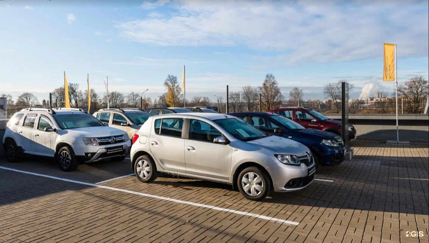 Renault петербург. Петровский Рено. Рено Франция. Петровский Выборгское шоссе. Рено Петровский то.