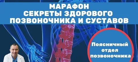 Шишонин поясничный отдел