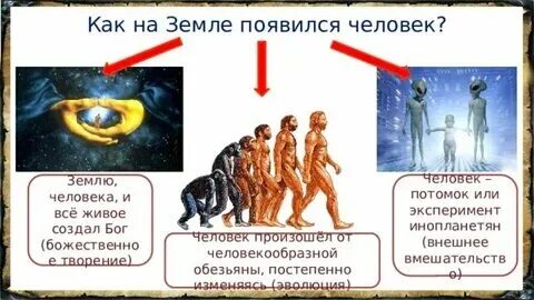 Затрапезный вид значение фразеологизма. Водитель будь. Затрапезный вид происхождение фразеологизма. Откуда появился уходи. Затрапезный вид.