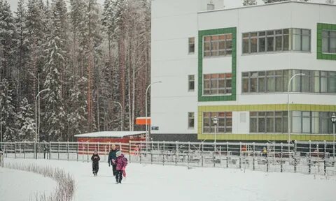 Губдейли петрозаводск