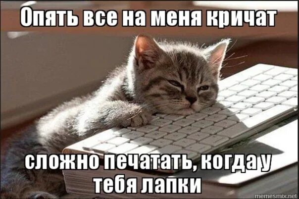 Включи сделай что нибудь