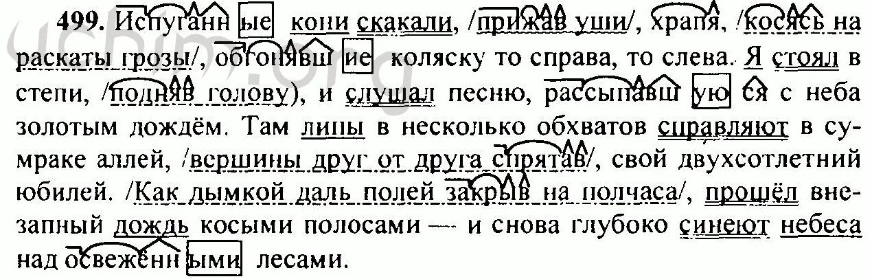 Русский язык 6 класс учебник упражнение 509. Русский язык 6 класс Разумовская упражнение 509. Упражнения 499 по русскому языку 6 класс. Упражнение 499 русский язык.