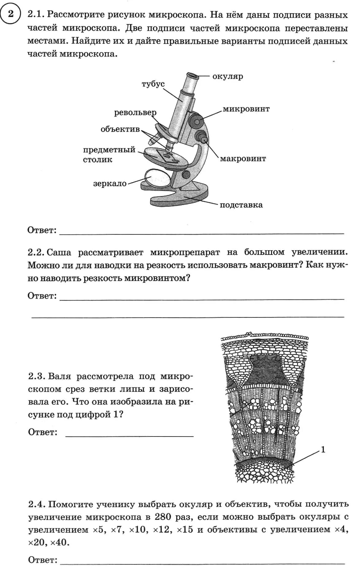 ВПР по биологии 5 класс с ответами. ВПР по биологии 5 класс задания. ВПР по биологии 6 класс микроскоп. ВПР по биологии 5 класс 2022 с ответами. Впр по биологии второй вариант