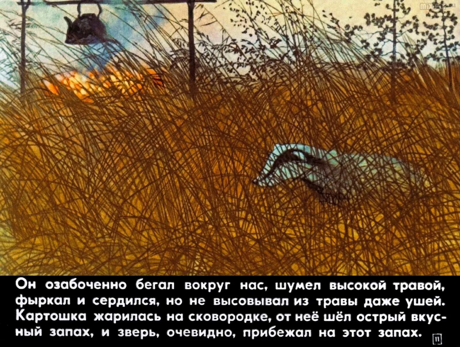 Паустовский барсук барсучий нос. К. Паустовский "барсучий нос". Озеро около берегов было засыпано ворохами желтых