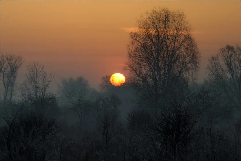 Приметы на погоду. Ночное небо в городе. Вечер в апреле природа. Хмурая осень. Поздним вечером погоду можно узнать.