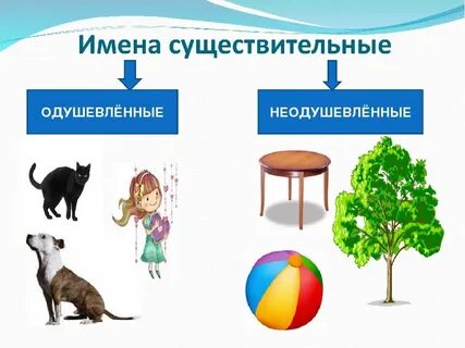 Расти существительное